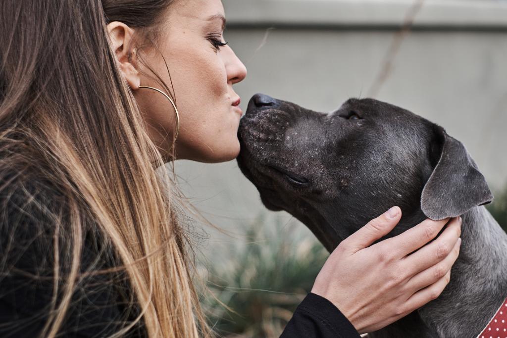 #DYK having a pet, especially a dog, may be good for your health and lower your risk of heart disease? spr.ly/6010Dushu #LoveYourPetDay 🐶🐱