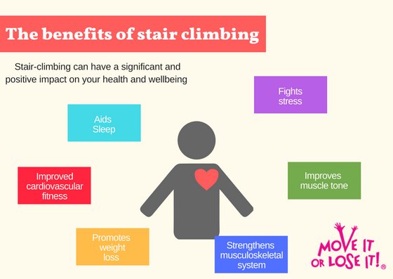 moveitorloseit1's tweet image. Did you know climbing stairs is a fantastic and free way to start getting more #active? 

It's a great way to start building your #strength and improve your #cardiovascular health. Take your first step towards a healthier lifestyle today 
@_ukactive @silverfitorg