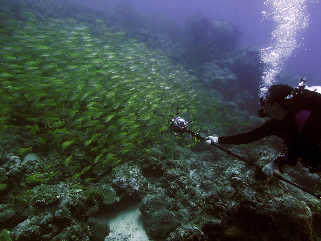 oceanx's tweet photo. Shooting on the #greatbarrierreef with @360_RIZE 
.
.
.
#VR #Equirectangular #360Rize #FilmProduction #vrcamera #360rig #360cam #360video #360camera #reeflife https://t.co/tBRSKIDYIX