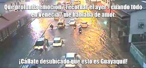 ¡Buenas lluvias tenga hoy día, empapado cronopio guayaquileño!(...estos cronopios y su manía de olvidar el paraguas)