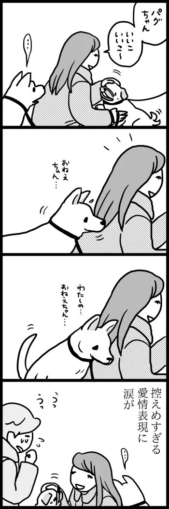 もっと甘えてもいいんだよ・・・健気な犬の愛情表現にキュンキュン・・・♪