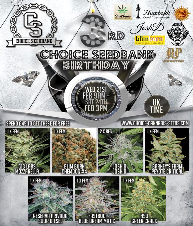 choice_seedbank's tweet photo. HAPPY BIRTHDAY!!! Peep our great birthday giveaway...Free #cannabisseeds with every order over £45! Starts tomorrow! @blimburntv - #Chemdog4 #JoshDSeeds - #JoshD @BarneysAms - #PeyoteCritical @ReservaPrivada - #SourDiesel @Fast_Buds - #Bluedreammatic @humboldtseeds - #GreenCrack https://t.co/M0yvqvE2l0