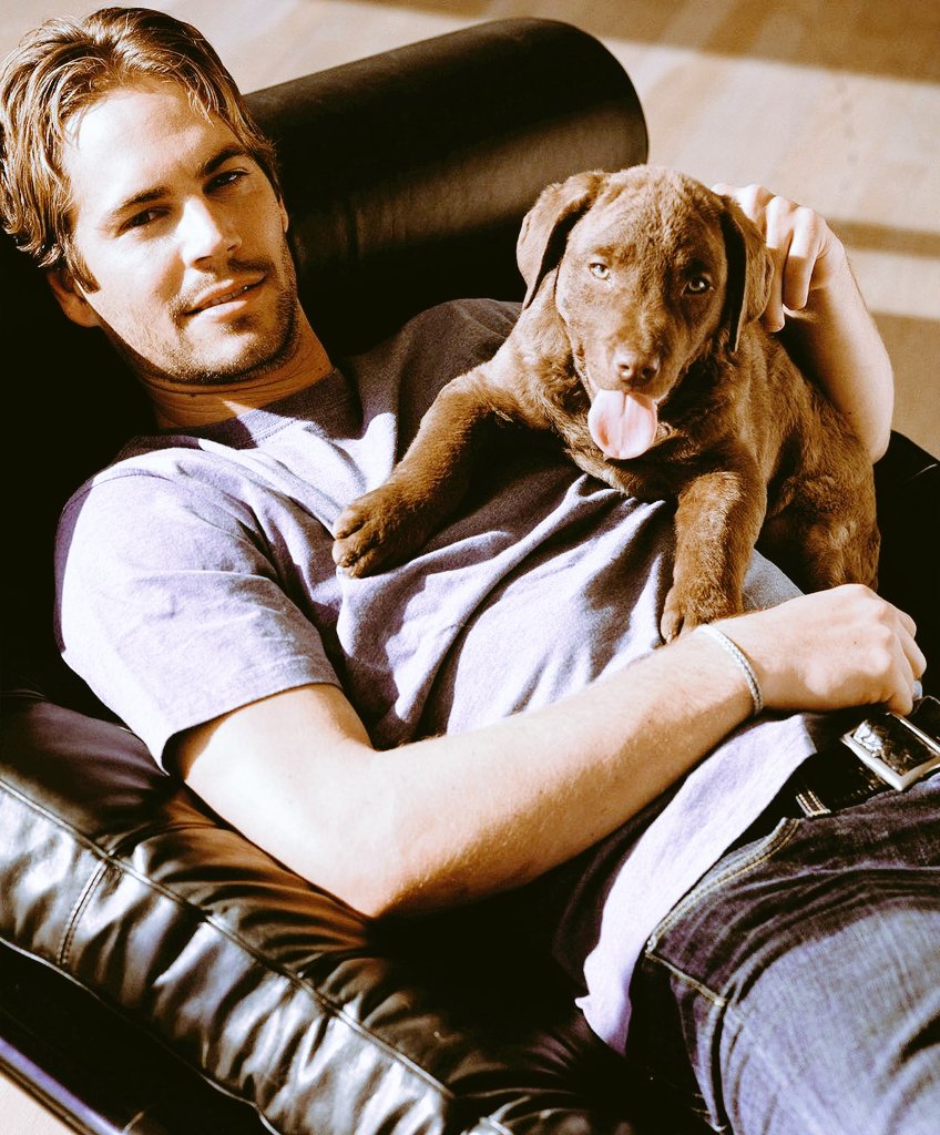 KAPS4Walker's tweet photo. 🐾💙 #LoveYourPetDay https://t.co/HbdfvUd1CN