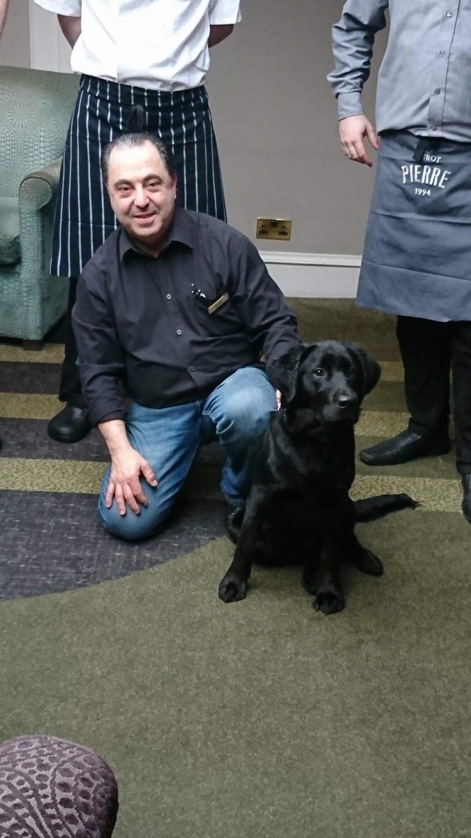 Thebearpub's tweet photo. Our sponsored guide dog came to visit us the other week. Bear the Labrador, Golden Retriever cross has grown a lot since we last saw him! 
Pictured below with Giorgio and some of the Bistro team. Thanks to @ShakespearePups for looking after him so well!

#BearThePup 🐻 #GuideDogs https://t.co/k5Ur8hIEEk
