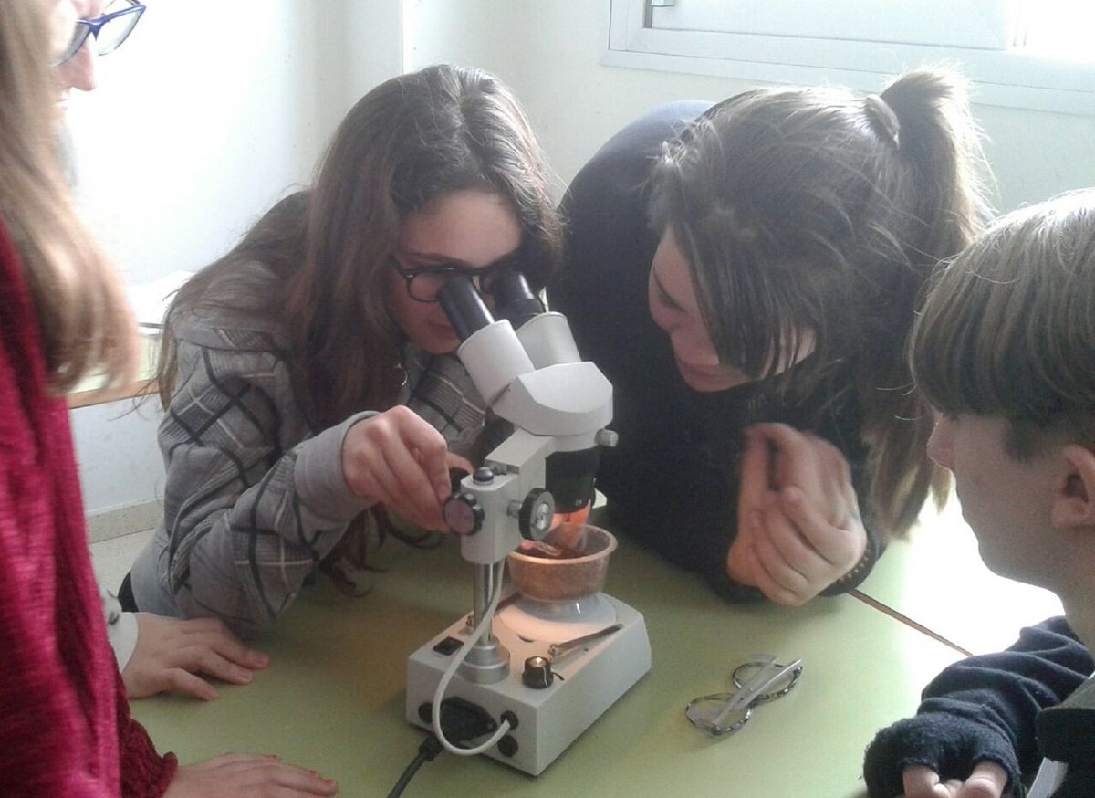 depo_es's tweet photo. ⚡️ A #compostaxe chega a máis de 100 escolares do IES Barral de @ponteareas_gal da man do Plan #Revitaliza♻️ da @depo_es
👉 Rapaces e rapazas da ESO puxeron en marcha un #composteiro para tratar os #residuos orgánicos do centro de #ensino https://t.co/9Z5qbu65WQ