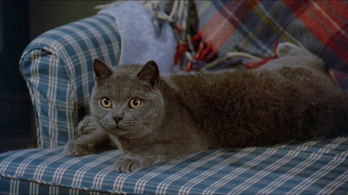 40+ Pet Sematary Churchill Pics