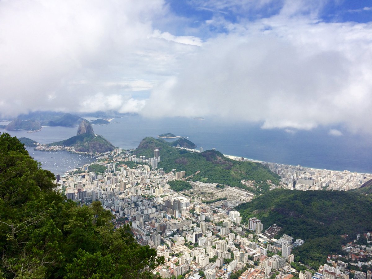 Wander With Crumps tweet media