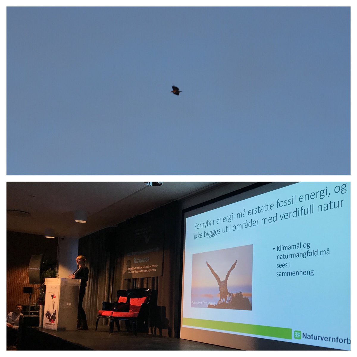 Barentssekretariatet tweet media
