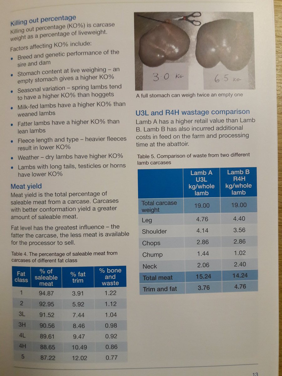 cqlp1's tweet photo. We get alot of sheep producers asking about kill out percentages. Here's the @AHDB_BeefLamb page on KO % from their 'Marketing prime lambs for better returns' publication.
#sheep365 
#betterreturns https://t.co/Wlh7gNiUJE
