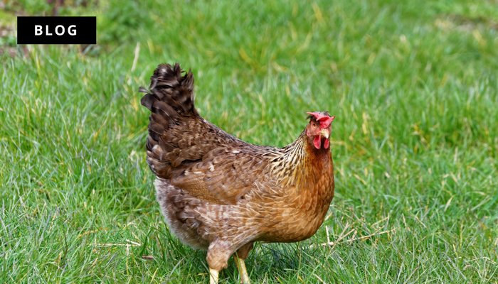 Funding needed for #farmers - Read more at:

goo.gl/MbSGBc