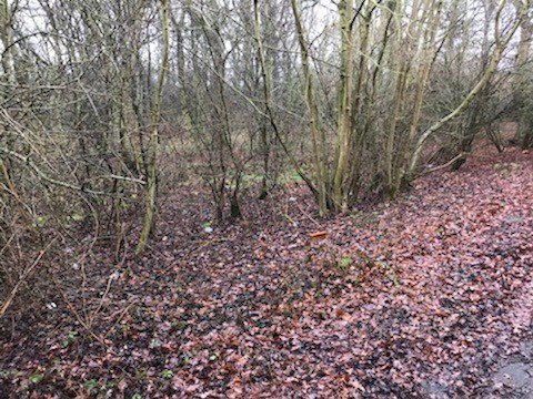 Our participants have worked hard at Oakwood Centre (The Enterprise Village) helping to tidy and clear the site. We will be continuing to support developments with exciting projects coming up #watchthisspace #CommunityPayback #Probation #Participatinginapositivefuture