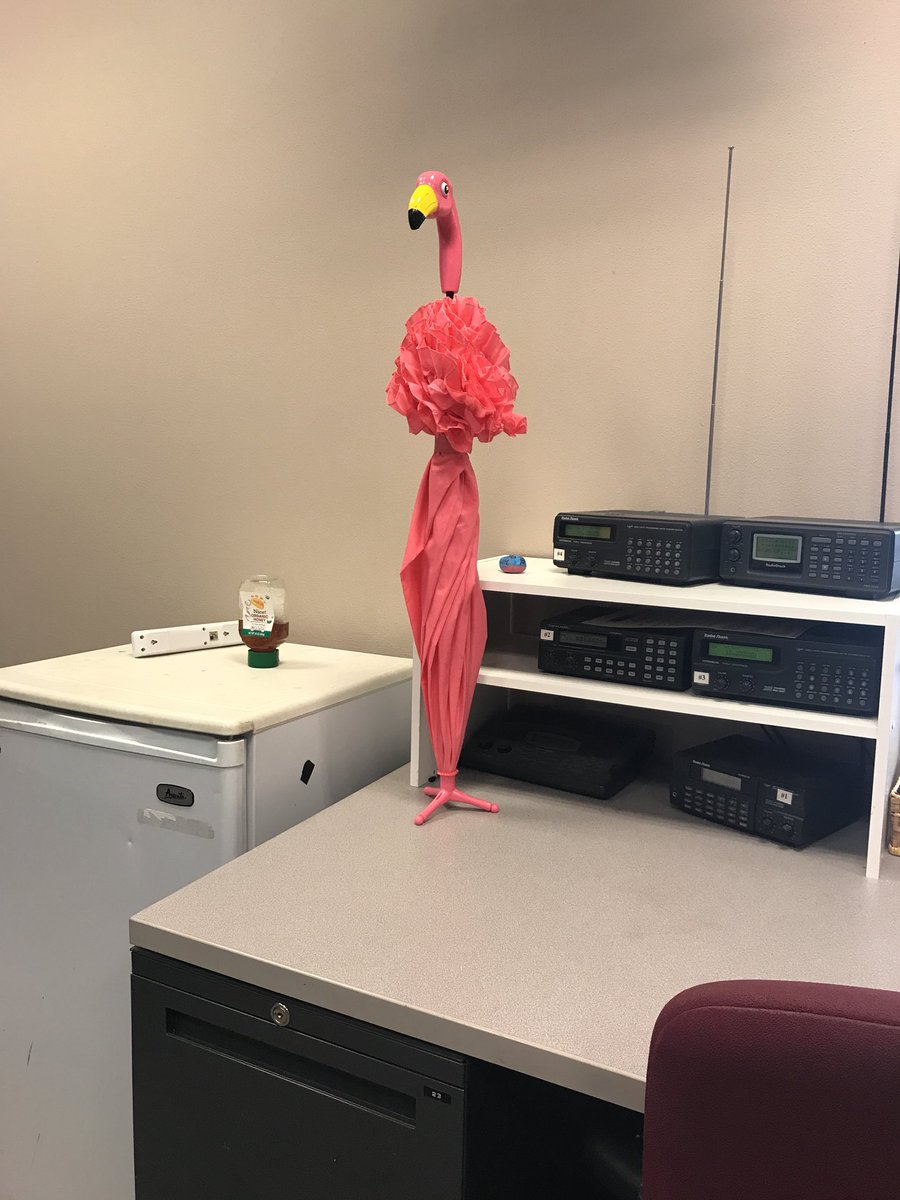 hmcclung's tweet photo. We have a mascot at work today! #news3 #hublife #pinkflamingo https://t.co/jYVNcIGItW