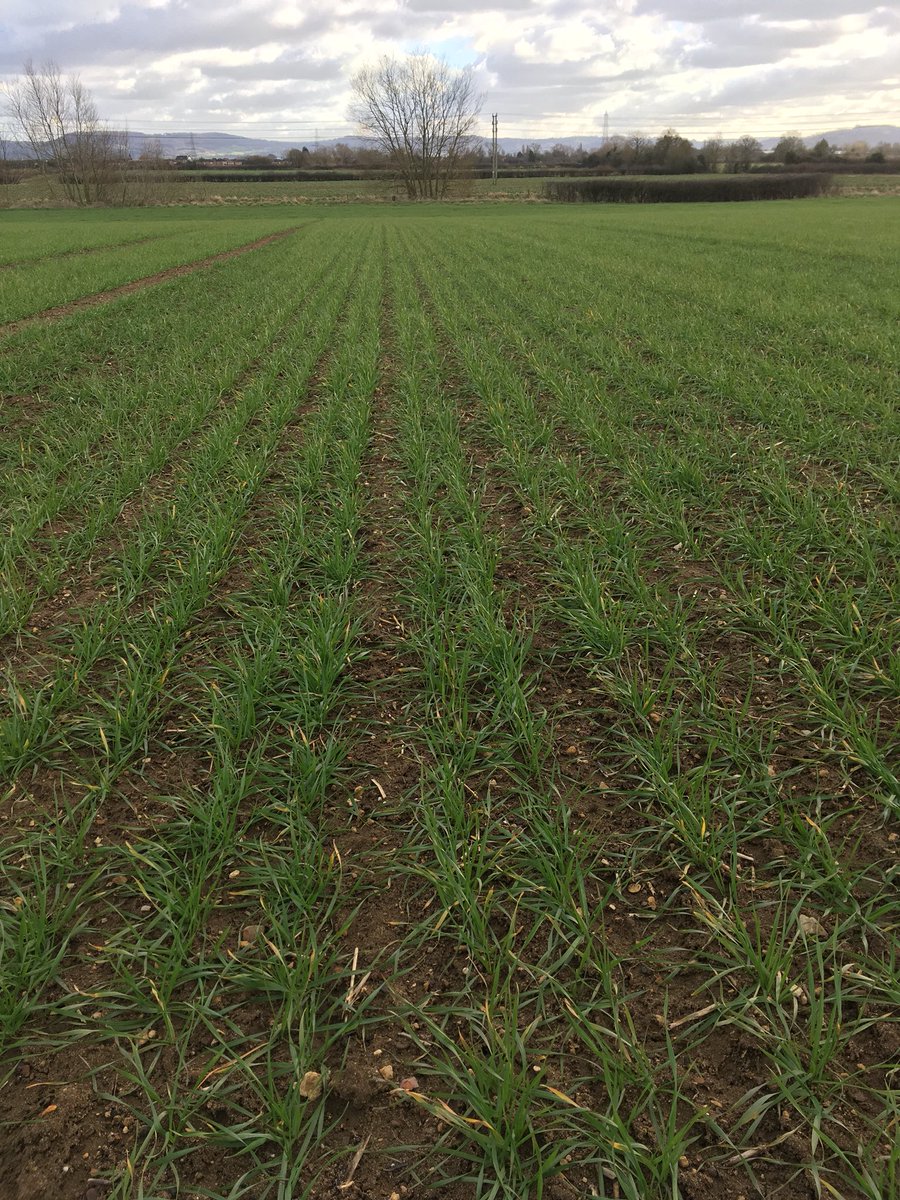 Kathryn Styan tweet media