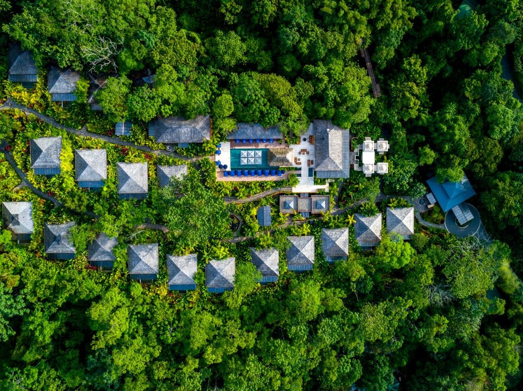 RelaisChateaux's tweet photo. Welcome in the jungle! Nestled in the rainforest, Nayara Springs is the perfect haven of grace and tranquillity for nature's lovers. #relaischateaux #jungle #green #nayarasprings #costarica https://t.co/RJ8uGuLIlb