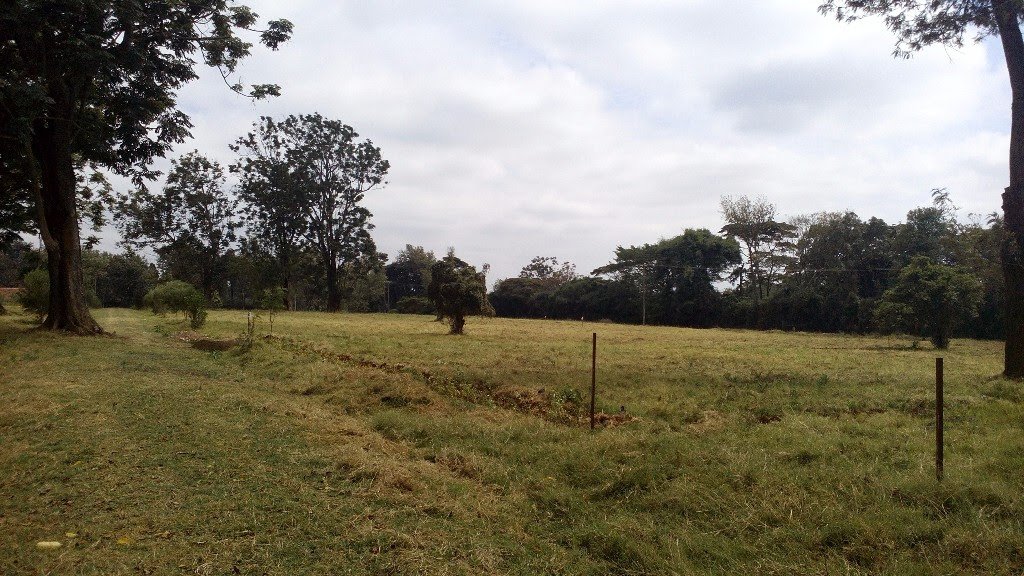 ShomotoRealtorz's tweet photo. KAREN 1 Acre, Residential #KarenPlots4Sale Ngong View Estate,Karen. In a #GatedCommunity area. @KSh.68M #KarenHOTDEALS #PrimePropertyForSale https://t.co/fY1V19cZTl