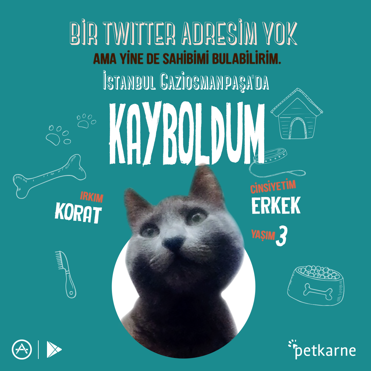 petkarne's tweet photo. İsmim Pisican ve kayboldum, sahibime tekrar kavuşmama yardım eder misiniz?

Kaybolan tüm dostlarım için Petkarne ile kayıp ilanı verebilir, ilanları takip edebilirsiniz. https://t.co/Uz4I2EmVxq