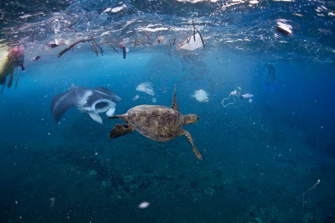 Our new way to fight against Ocean Pollution? bit.ly/2FgbvNV
#PassOnPlastic #HBL