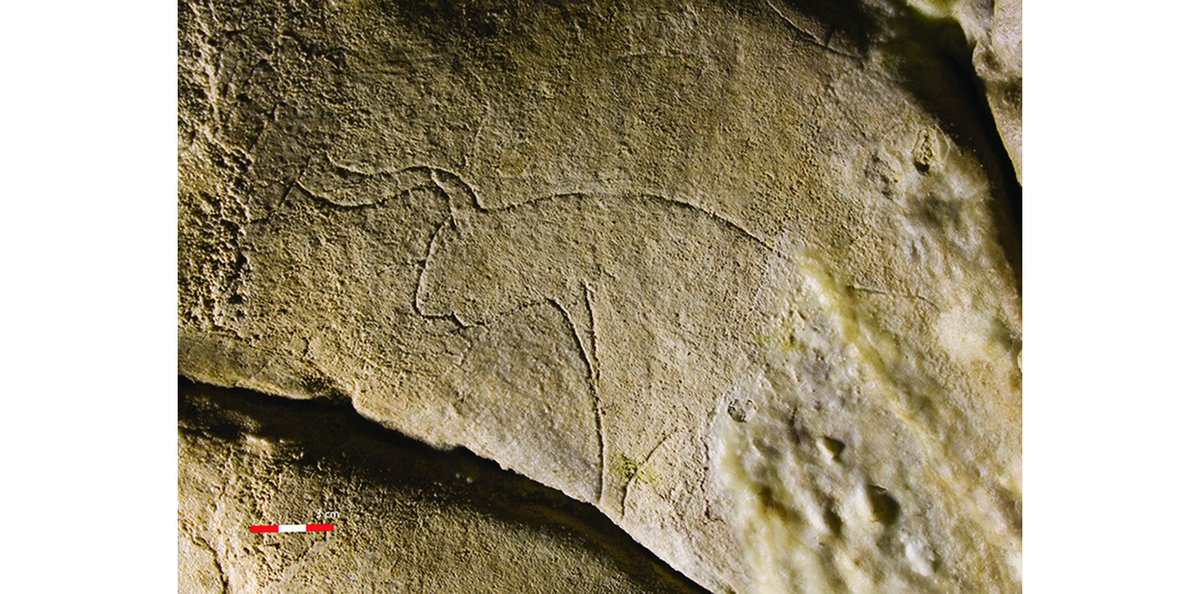 #Palaeolithic art at Grotta di Cala dei Genovesi, Sicily: a new chronology for mobiliary and parietal depictions (di Maida et al.)

'Unusually for a Palaeolithic cave, the Grotta [...] has yielded evidence of both parietal and mobiliary art'

[£] 👉 doi.org/10.15184/aqy.2…