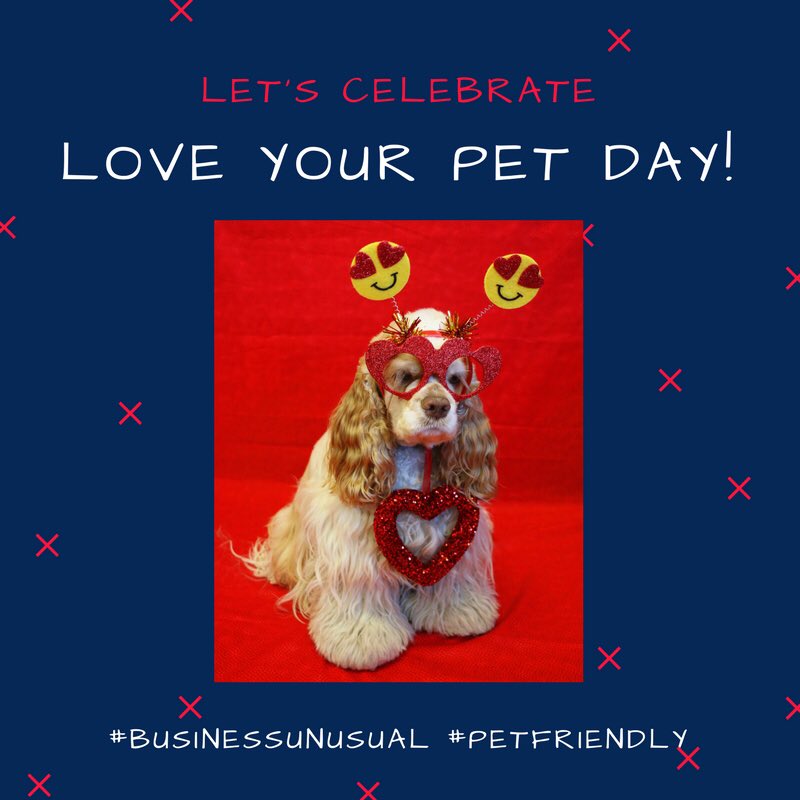 DevanLoweInc's tweet photo. It's #LoveYourPetDay, and we're celebrating with our mascot, Keys! Remember, we're #PetFriendly and always love meeting your furry friends! #BusinessUnusual #DevanLoweInc https://t.co/u9FE5NvshZ