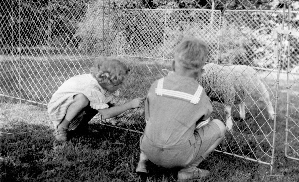 The Martin family kept a variety of pets at #Graycliff, including Mookie the dachshund and Rusty &amp; Dusty the sheep! #LoveYourPetDay #FrankLloydWright #BuffaloHistory