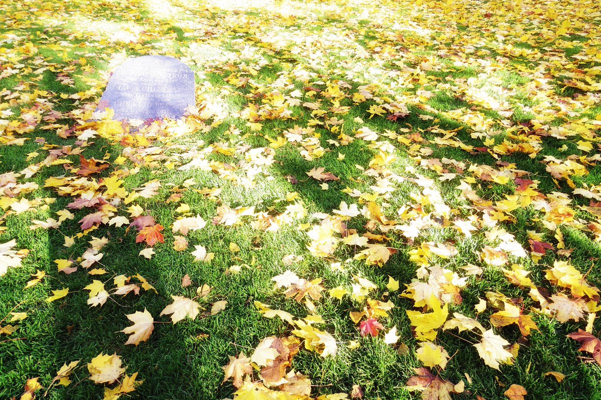 onehap's tweet photo. \写真展やります/
今更ですが、新潟でヨーロッパ旅の写真と文章の展示をやります。
【イベント】#tabigo (たびご)
【日時】2/21~3/3
【場所】ウチノ食堂(@Kitchen_uchino)
写真と文章と、
旅に関する本と音楽と雑貨を少し。
旅について考えるきっかけになれればと◎ https://t.co/5AJpqlAX3t