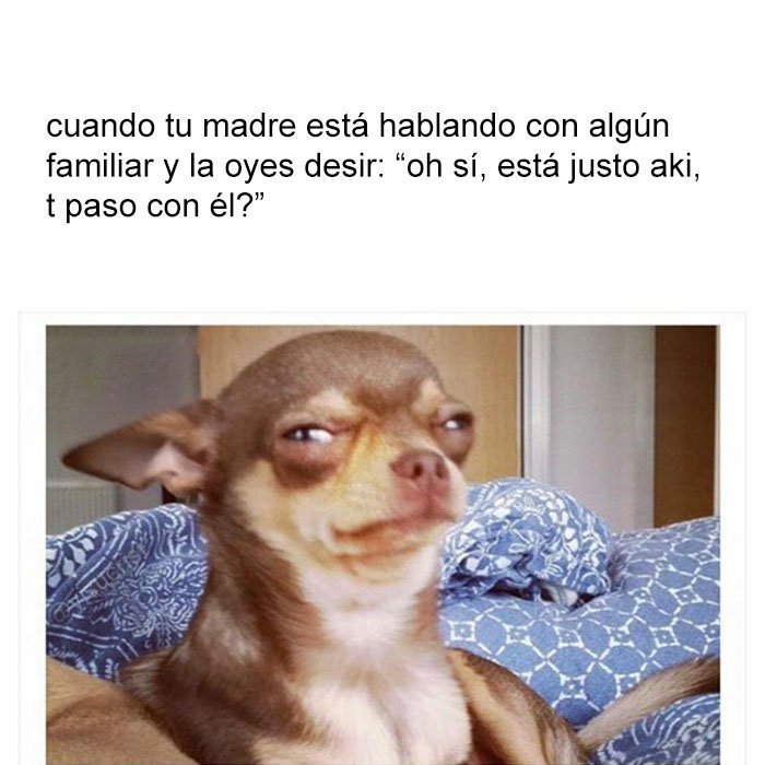 yisuscribete's tweet photo. mamá xk me ases esto? https://t.co/cXA4jmD68P