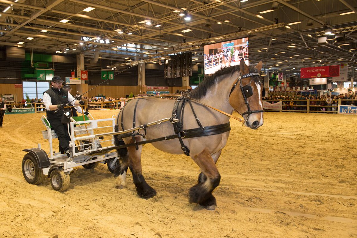 EquidesTravail's tweet photo. 📆 J-4 avant le @Salondelagri !!
📍Concours @cga_paris - Démonstrations - Présentations de races françaises 
@Min_Agriculture @comexposium 🐴😀
🚩RDV Pavillon 2.1 https://t.co/bFGc8VrxA0