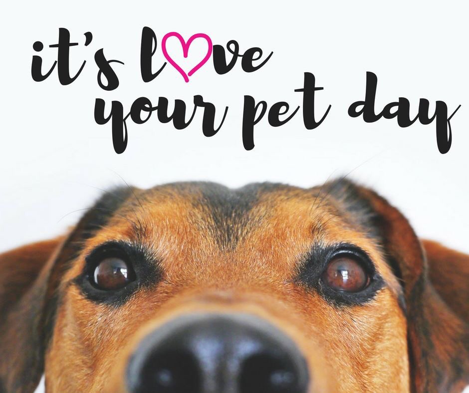 Don15650's tweet photo. Pets are beloved members of your family. Did you know that Allstate also offers pet health insurance? #donrose #LoveYourPetDay https://t.co/Lw5DuvHOtk