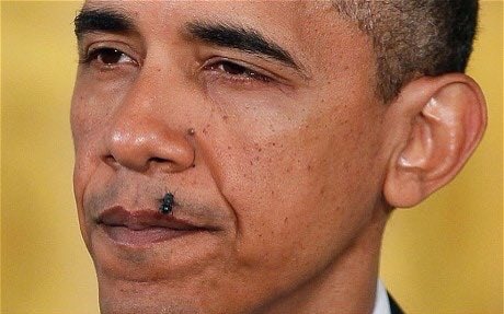 SnowDov2's tweet photo. @LarryCh00312599 @DanCook26214426 #ObamaGate #ObamagateSpyingScandal #ObamaColluded #ObamaKnew #ObamaCriminal #ObamaForPrison !!! ๐ https://t.co/b1KFX1wEED