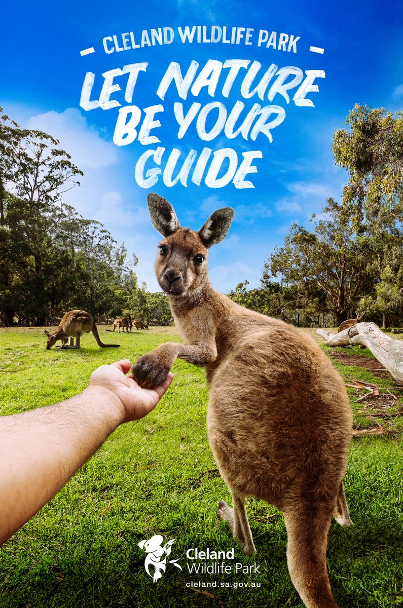 The_Clios's tweet photo. "Let Nature Be Your Guide" with these furry ads for Cleland Wildlife Park from @ShowponyAdv, featured on @adsoftheworld: https://t.co/R70epivmdQ https://t.co/Cg2ZoteXQB