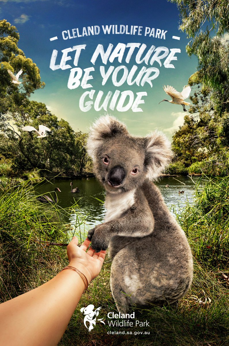 The_Clios's tweet photo. "Let Nature Be Your Guide" with these furry ads for Cleland Wildlife Park from @ShowponyAdv, featured on @adsoftheworld: https://t.co/R70epivmdQ https://t.co/Cg2ZoteXQB