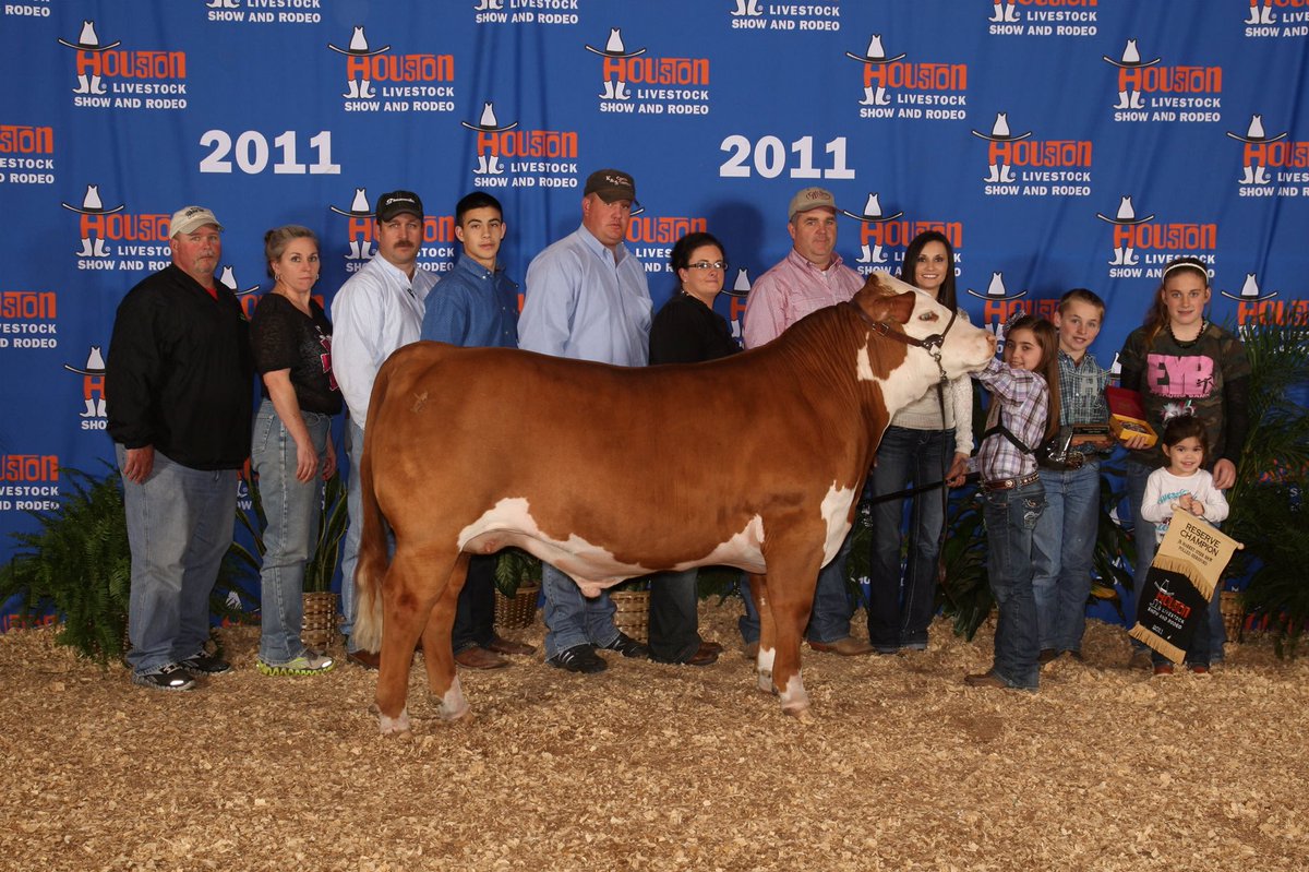 kindlegail's tweet photo. I’m kicking off the National FFA Week photo challenge with my SAE! I have shown steers since third grade &amp; have loved every second of it! https://t.co/tFTC3sLDw6