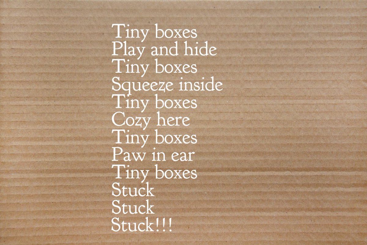 TheGiftedRat's tweet photo. A poem for furry pets. https://t.co/VpZhoOj5sH
