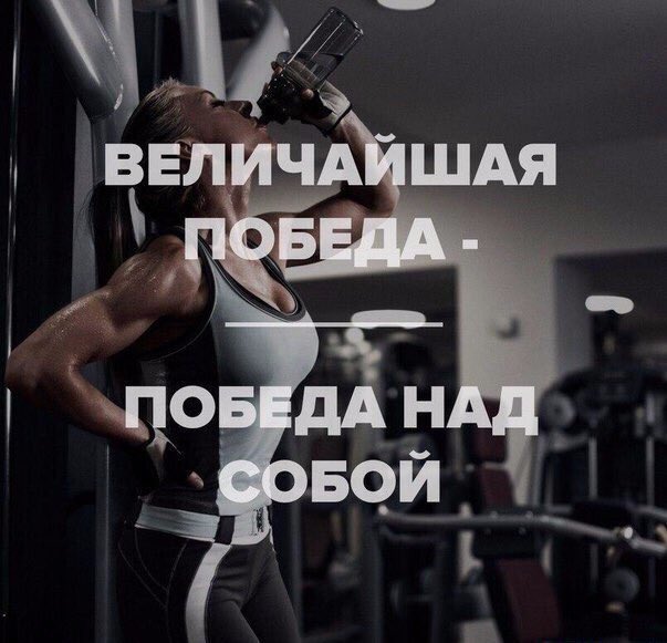 smivix's tweet photo. Узрите https://t.co/kqzdmJFi2Q