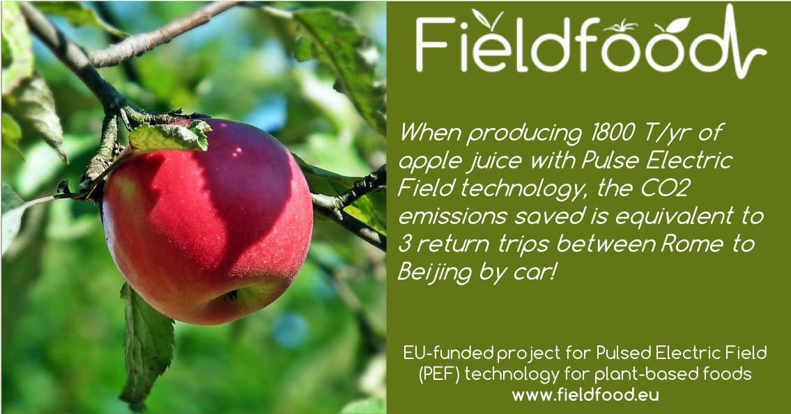 FieldFOOD_H2020's tweet photo. Learn how PEF-technology can reduce the CO2 emissions of your food processing lines at the @anugafoodtec! For more information visit https://t.co/4qrXbSArdI #FoodTech #FoodInnovation #electroporation #pulsedelectricfield https://t.co/60b00WwPUN