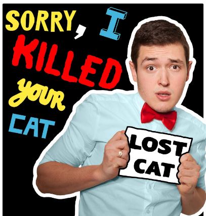 spyinthestalls's tweet image. Looking back to February last year ...

"has the makings of a five star show deserving a much longer run"

⭐️⭐️⭐️⭐️

SORRY I KILLED YOUR CAT

Courtyard Theatre

REVIEW : stalls.buzz/SIKYC-Review