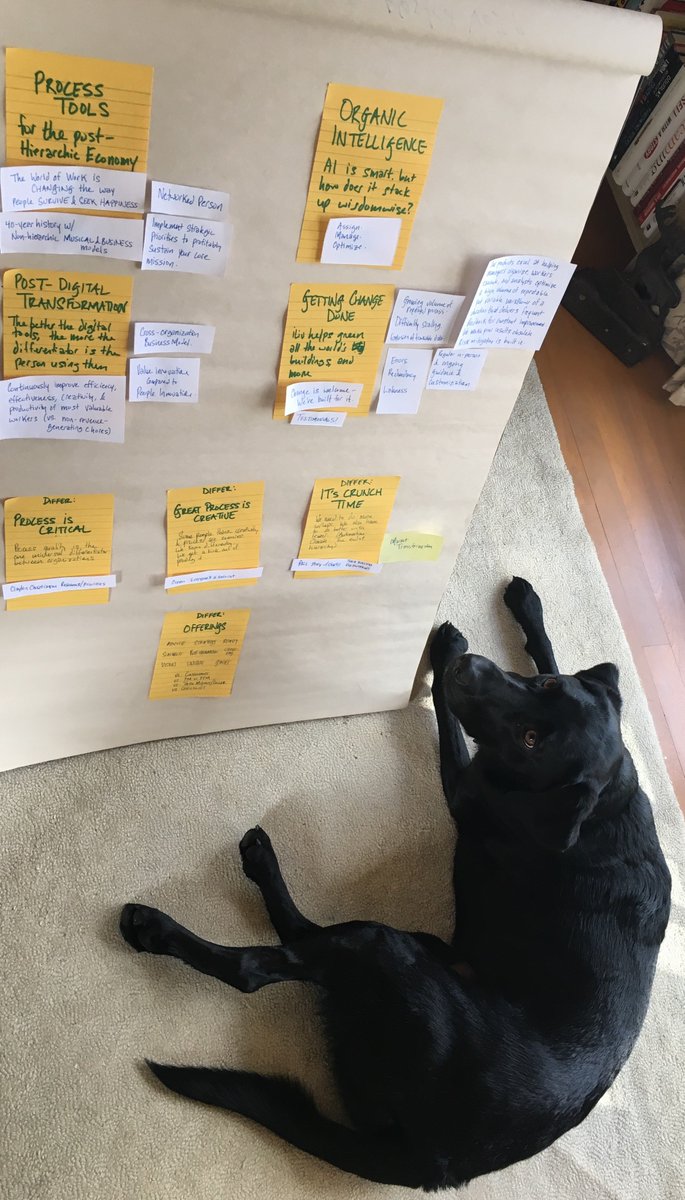 iLivTeam's tweet photo. Dogs are great at the office! Here's Emmylou working on the new https://t.co/nZo6jhQv6q
Happy #LoveYourPetDay ! https://t.co/pwd7ryAhBu
