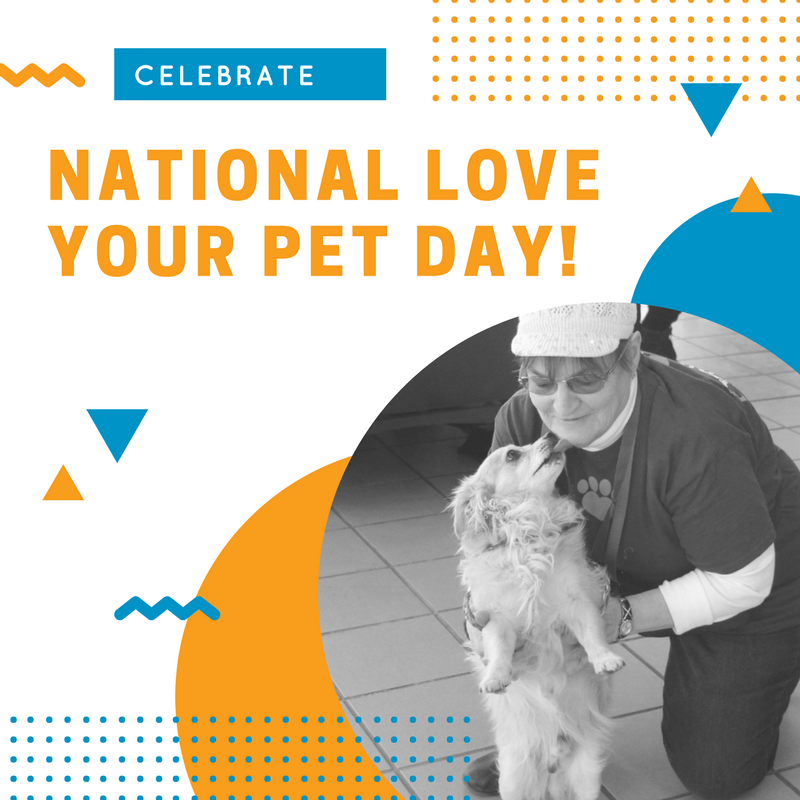 The Animal Foundation tweet media