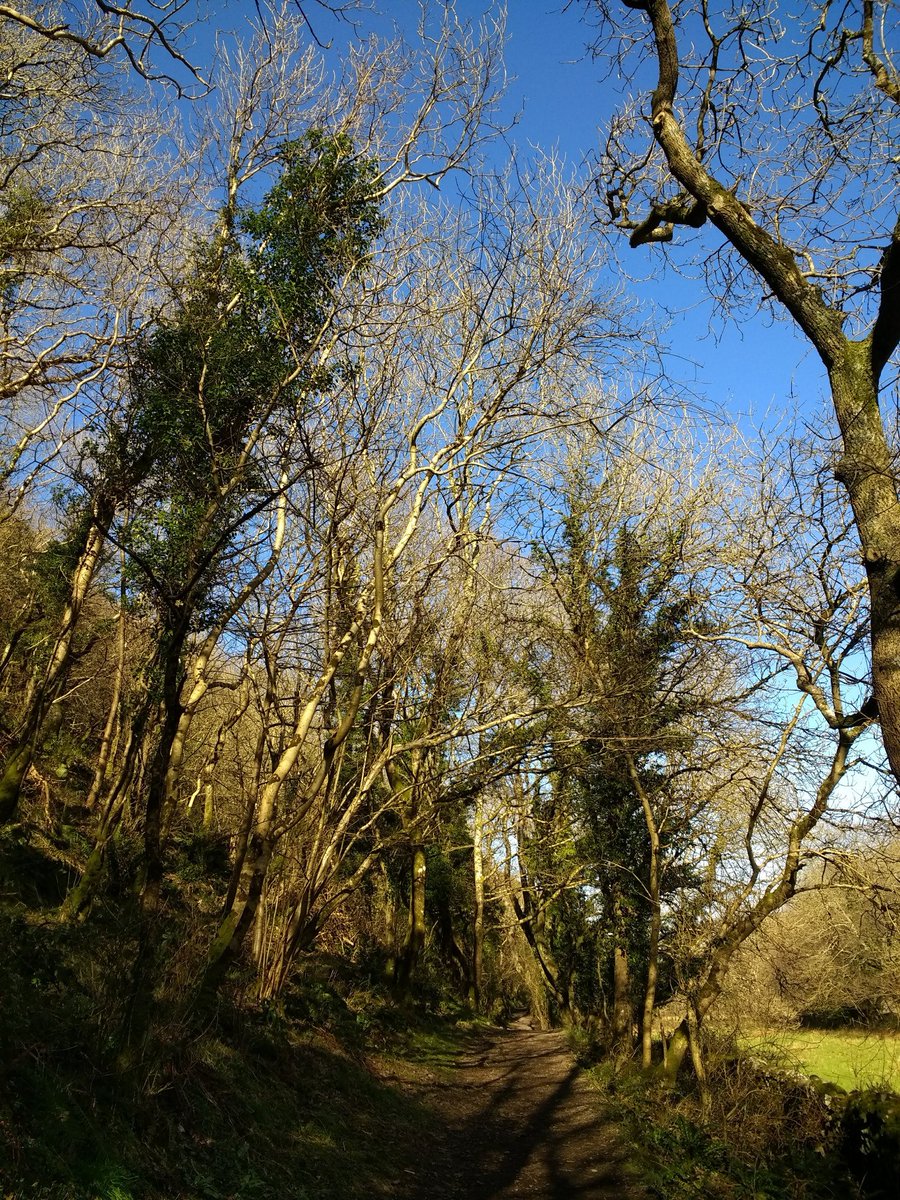 ExmoorPaths's tweet photo. Feels like spring! Path surveying with @RangersENPA around #Martinhoe @ExmoorNP @uknationalparks @swcoastpath @RichEalesENPA #spring @NTSouthWest #HeddonsMouth https://t.co/A8rgm3a7CK