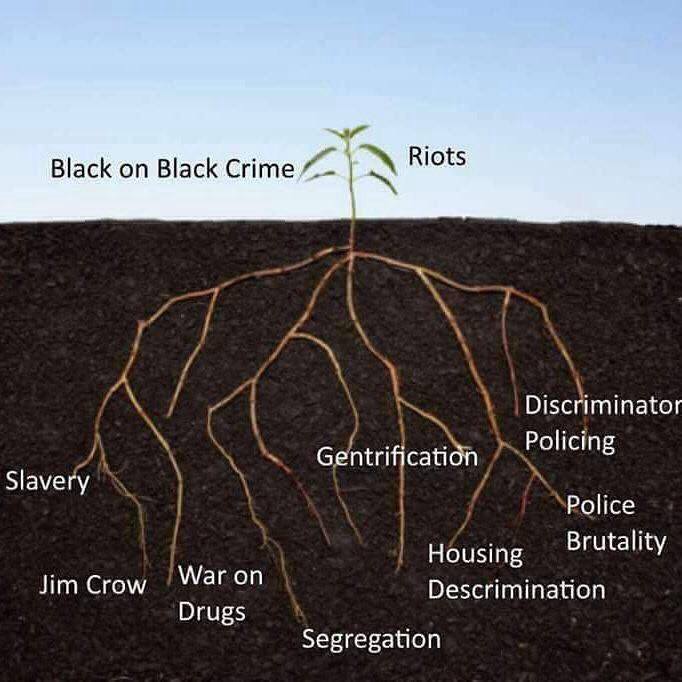 MemphisQuinn's tweet image. instead of looking at the full complement of root causes, you go silly over *only the stats
#intellectuallydishonest