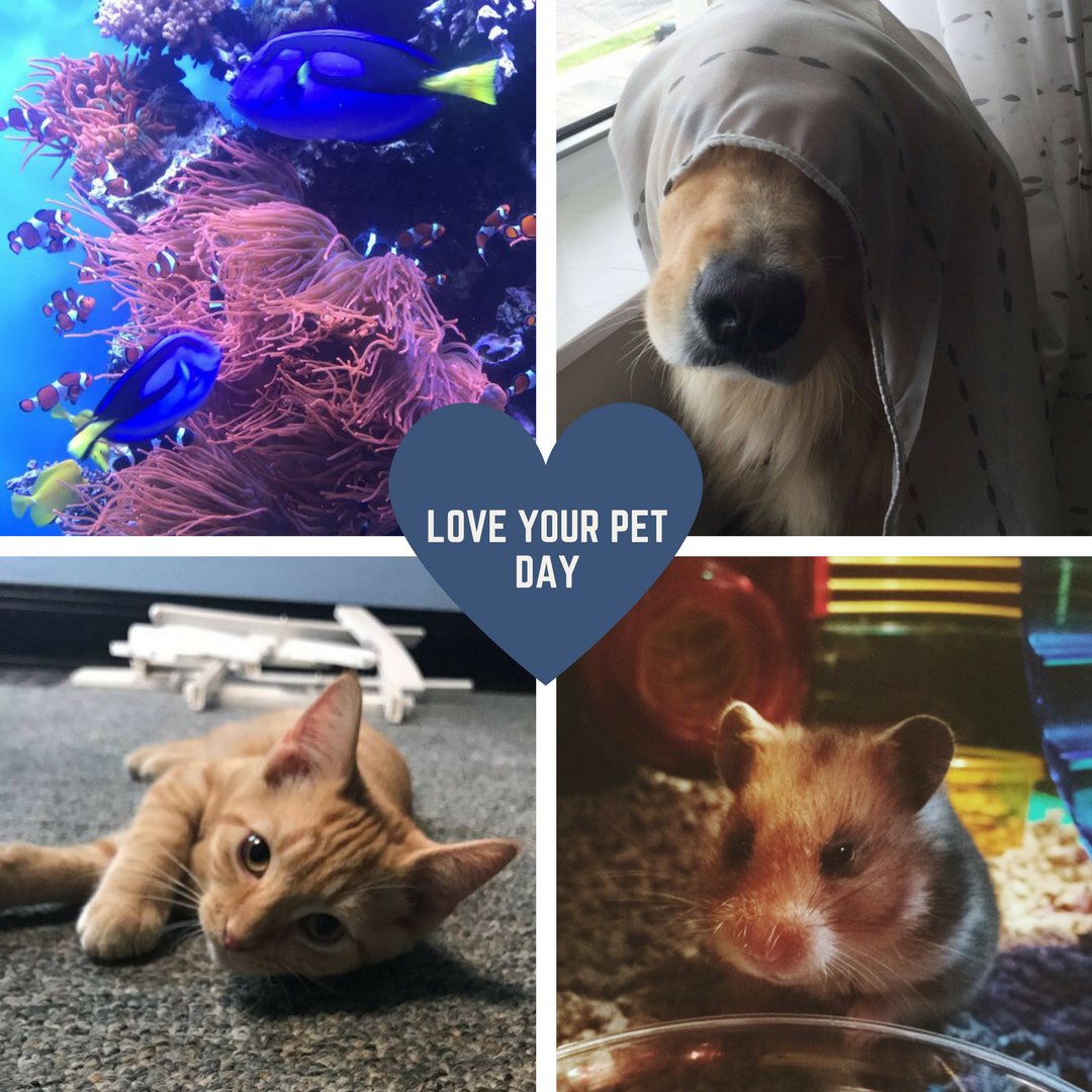 Make sure to pamper your pet a little extra today! #LoveYourPetDay #PetsAreFamily