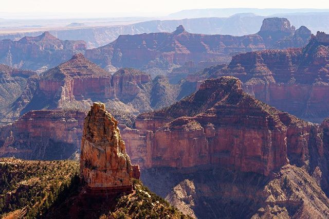 real342's tweet photo. The Test of Time⠀
.⠀
.⠀
#arizona #travel #adventure #nature #getoutside #usa #visitarizona #instagramaz #hiking #neverstopexploring #arizonahikersguide #grandcanyonnationalpark #arizonacollective #findyourpark #arizonahiking #instatravel #nationalpar… https://t.co/VftH9Ka1eL https://t.co/EMkOSZSkBY