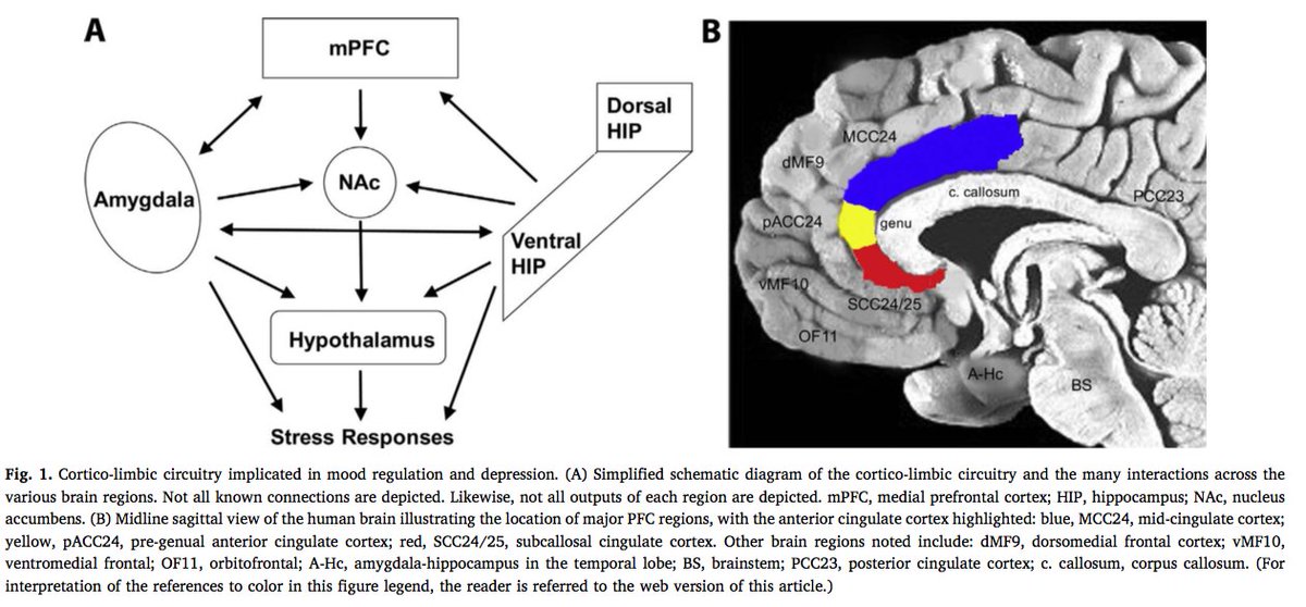 incorporating knowledge sources into statistical speech recognition 2009