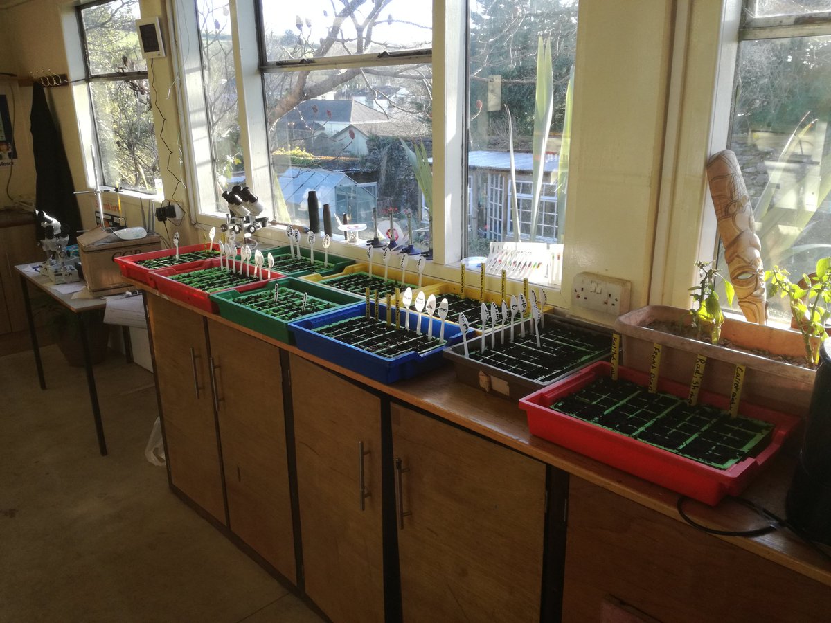 Sands School tweet media