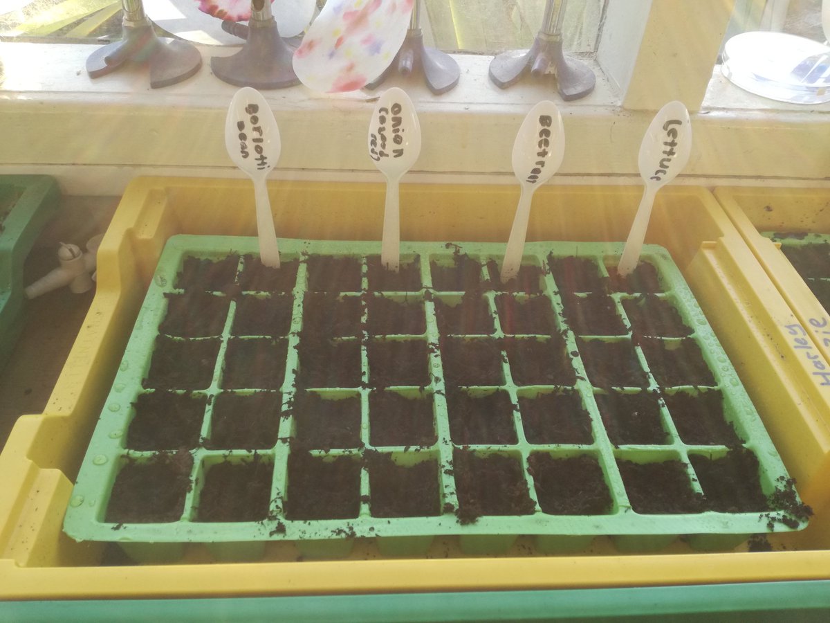 Sands School tweet media