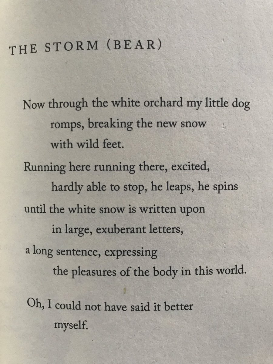 Wunderdog On Twitter For Loveyourpetday One Of My Favourite Dog Poems From Dog Songs By Mary Oliver Cuddle Your Dog From Me Dog Poetry Dogsoftwitter Doglovers Https T Co V690finigd