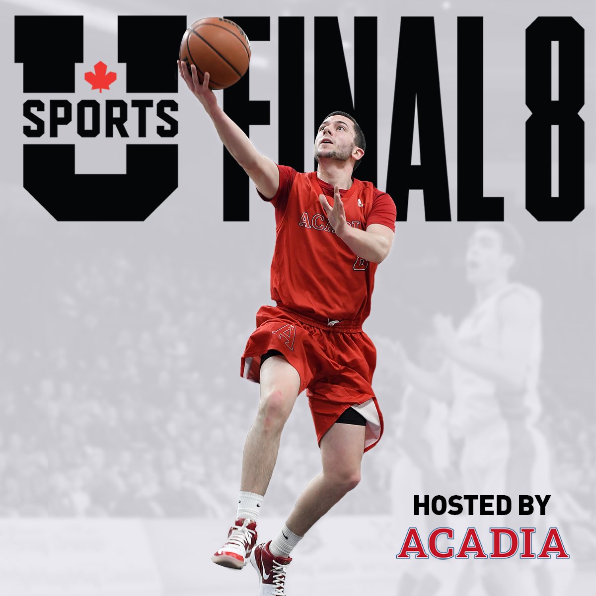 ProducedBySEA's tweet photo. Hey Basketball Fans! 

RETWEET to be entered for a chance to win a U SPORTS Final 8 Package! Your prize will include:

🏀 2 Floor Seats to the March 8th Acadia Opener 
🏀 2 Final 8 Adidas Hoodies
🏀 One Pair of Premium Basketball Socks 
Winners will be drawn March 1st! #CHAMPSZN https://t.co/r2GS4grrPt