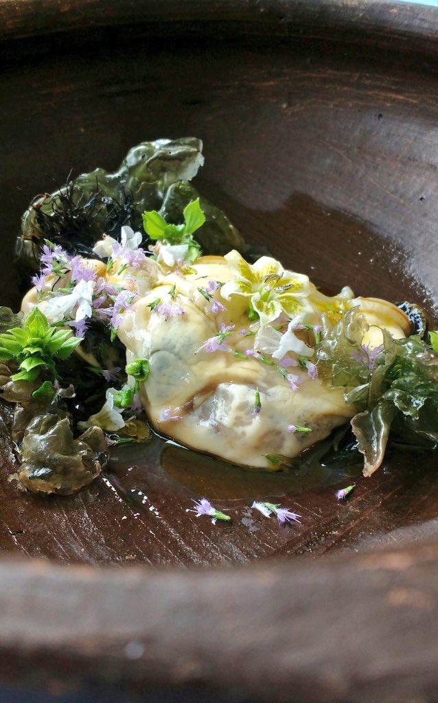 Justlovefood's tweet photo. Flying to Chile tomorrow! Will be cooking with Incredible wild produce like this cholga ceviche #chile #southamerica #foodexpedition 2018 /book in progress #chefslife #seafood #cholga (aulacomya atra) https://t.co/kENLmbfo7I