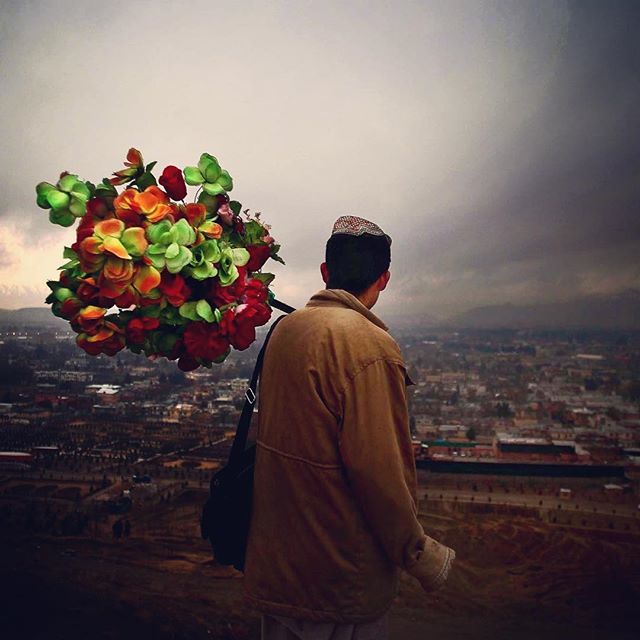 AltafQadriAP's tweet photo. Hikmat, an Afghan street photographer holds artificial flowers as he stands on a hilltop in Kabul, Afghanistan, 2009. #igafghanistan #Kabul #conflict #civilwar #dailylife #streetphotographer #hilltop #latergram #learnphotojournalism @visualphotoacademy https://t.co/Lo0mpksox5 https://t.co/gIlDNJNfwD