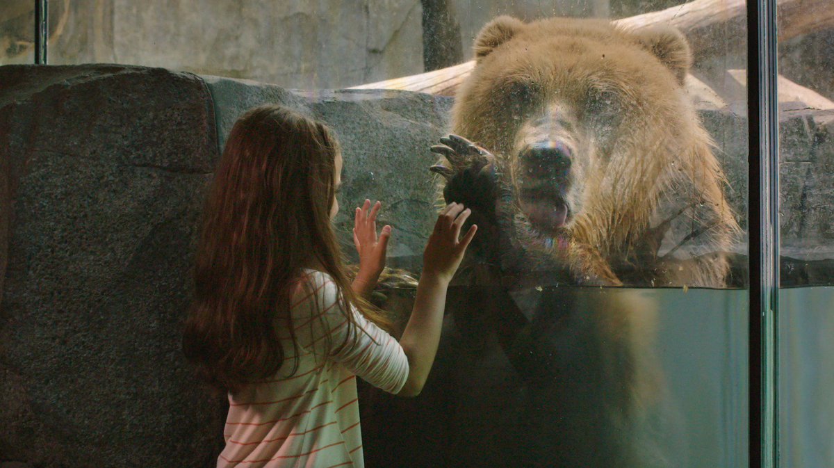 AdventureAdvert's tweet image. Our team had a blast on Saturday at the @AAFCM 2018 American Advertising Awards! Our team was honored to receive Best of Show (for @parktool) &amp;amp; all 3 Judge’s Choice Awards (for work with @mnzoo, @ocean_kayak &amp;amp; @GREATtheatre ). Check out our blog post: adventurecreative.com/award-winning-…